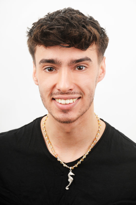 Citrin Energie Kette mit Anhänger Seepferdchen Sterlingsilber 925er rhodiniert Solarplexus Chakra